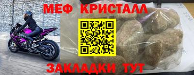 стаф Донской