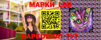стаф Донской