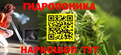 стаф Донской