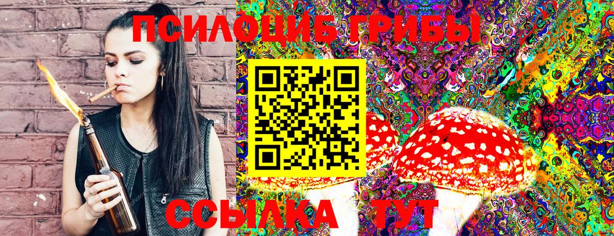 Псилоцибиновые грибы Psilocybine cubensis Нижневартовск